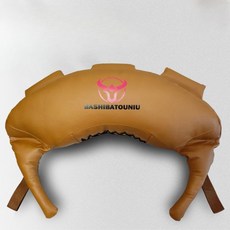 불가리안백 30kg 모래 주머니 홈 헬스 근력 중량 운동 백 스쿼트, 겨자색 30kg