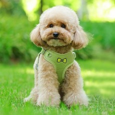 강아지 코듀로이 하네스+리드줄 반려동물 외출, 1개, 그린