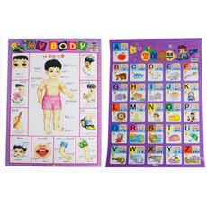 영어공부 My Body(벽보), 아기별