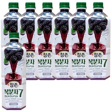 복분자원액 (참존 835ml) X 12, 7개, 835ml
