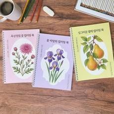 옥상정원 꽃 박람회 싱그러운 열매 컬러링 북 어른 어르신 시니어 색칠공부 색칠하기 성인취미 치매예방 책 3권 1세트