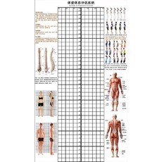 체형 분석 롤스크린 분석표 측정 격자 스크린 분석판