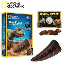내셔널지오그래픽 화석발굴 공룡이빨 혼합색상 RTNGDINO2, 1개