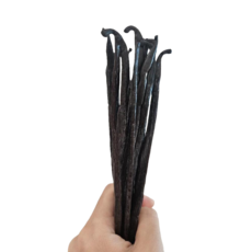 빈드뤼네 마다가스카르 최상급 고메 바닐라빈(바닐린 함량 2.0~2.5%), 1개, 50g
