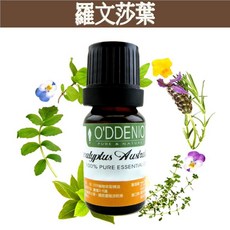 《歐丹尼》羅文莎葉純精油 (10ml-50ml) - 優質單方精油, 1個, 羅文莎葉10ml