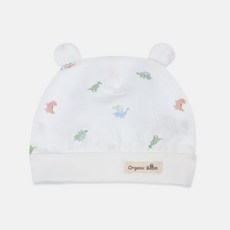오가닉붐 공룡 메쉬 썸머 곰돌이모