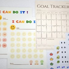칭찬스티커판 습관달력 챌린지 골트래커 66일챌린지, 1개, 상세페이지 참조, 아이캔두잇데이즈_운동스티커