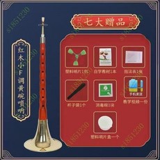 台灣出貨 嗩吶樂器百鳥朝鳳民族樂器黑檀烏木初學者成人兒童大小號精緻全套, 紅木小F黃碗+7贈品, 1個