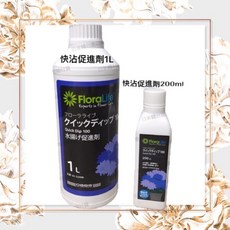 快沾Quick Dip 100 Flora Life鮮花保鮮劑 韓國原裝進口 延長花期, 1個, 1L
