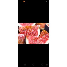 홍무화과, 500g, 1개, 500g