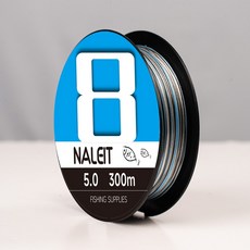 8가닥 PE 편조 낚시줄 300m 부드러운 원투 강력 장력 정확한 선직경 내마모 내식성 저메모리 해수 민물 겸용 청색, 다색 100M