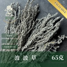 CANLONGER FLOWER 波波草乾燥花材 PA043 灰白 約35公分 居家裝飾 DIY花藝創作