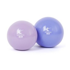 아이워너 웨이트볼 2color 1kg 1.5kg 스트레칭 필라테스 요가 운동, 1kg 오키드퍼플
