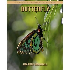Butterfly: An Amazing Animal Picture Book about Butterfly for Kids Paperback, Independently Published