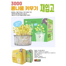 콩나물 키우기(랜덤발송), 1개