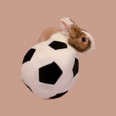 哈密兔事·布足球, 黑色/直徑18cm, 1個