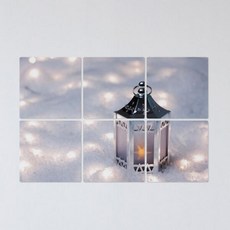 tb640-멀티액자_눈밭위에 놓인초