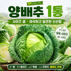 당일경매 국내산 양배추 신선한 양배추 경매후바로발송 쌈용 가정용 식재료용, 38사이즈(1망)