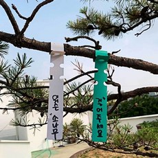 타이형 식물 태그 라벨 이름표 100P 팻말 수목표찰, 본상품
