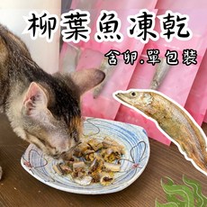 柳葉魚凍乾 寵物零食 多春魚凍乾 狗狗零食 貓咪零食 魚肉凍乾, 1個, 柳葉魚/單包裝, 3-5g, 柳葉魚