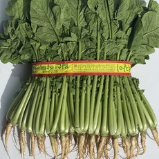 테이블센스 국내산 특 명품 열무 가락시장 당일경매, 1개, 약 4kg
