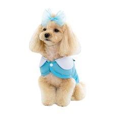 PETRIUM 강아지 쿨링 조끼 - 귀엽고 가벼우며 통기성이 좋은 강아지용 반사 쿨링 재킷 - 반려동물을 시원하고 편안하게 유지 - 더운 날씨 야외 활동 및 운동에 이상적