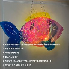 셀로판 썬캐쳐 DIY 빛과 그림자 놀이 색깔놀이, 세트16