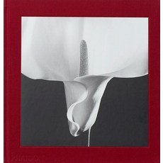 Mapplethorpe Flora: The Complete Flowers, Phaidon Inc Ltd