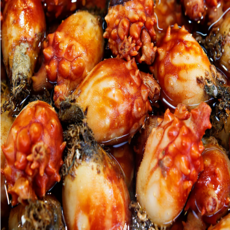 통영 제철 활멍게 깐멍게 자연산 동해 꽃멍게 돌멍게 당일조업 손질멍게, 1개, 활멍게 2kg