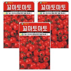 꼬마토마토 씨앗 3개입 방울토마토 씨앗