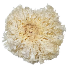 大台南五穀糧倉白木耳 大朵白色銀耳 雪耳 完整一朵 銀耳湯 菌中只冠 脫水乾貨, 300g, 1個