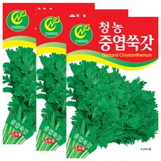 세인화분 중엽쑥갓 4000립 - 쑥갓씨 쑥갓씨앗, 3개