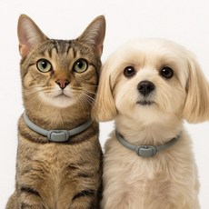 강아지 진드기 퇴치 목걸이 애완동물 모기퇴치 48cm79m8+8QBY