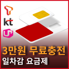 일차감요금제 3만원무료충전 SKT KT LG 선불유심 선불폰개통 유심기변 USIM, 1개, 30일, 300mb 무제한