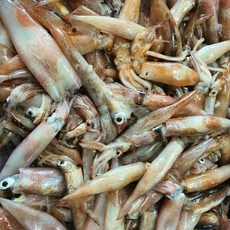 당일조업 국내산 한치, 1박스, 2kg (40-80미)