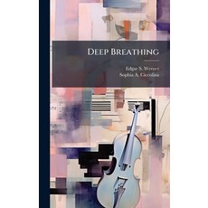 (영문도서)Deep Breathing Hardcover, Hutson Street Press, English, 9781023960915