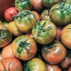[더싱싱] 대저토마토 짭짤이 부산 대저동 토마토, 1박스, 2.5kg (3S-2S로얄과)