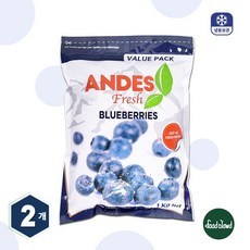 당도높은 무첨가 100% 냉동블루베리 1KG, 2개, 1kg(칠레)