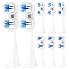 Spinbrush 구형 버전 프로 클린/프로 화이트 배터리 전원 전동 칫솔과 호환되는 교체용 칫솔 헤드 8팩