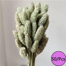 말린 꽃 토끼 꼬리 잔디 프리미엄 팜파스 리드 불멸의 꽃다발 재료 웨딩 파티 장식 식물, B1