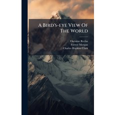 (영문도서)A Bird's-eye View Of The World Hardcover, Hutson Street Press, English, 9781024342086