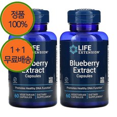 1+1 라이프익스텐션 알래스카 야생 블루베리 추출물 375mg 60캡슐, 60정, 1개