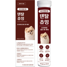 아우어레시피 강아지 간식 덴탈껌 치석 제거 입냄새 개선 구강 케어 기능성