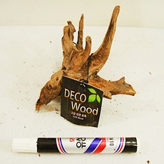 가지유목 소특A, 1개