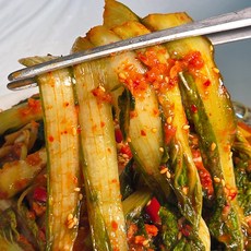 [맛꾼] HACCP인증 당일제조 국내산 전라도 얼갈이김치, 1개, 2kg