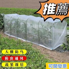 可訂製種植防蟲網 加密大棚防鳥防蟲網 楊梅網罩 蓮霧網 果樹防蟲網罩 耐磨防鳥網 櫻桃樹防蟲罩, 1個