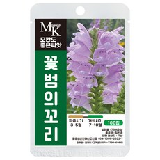 모칸도 좋은씨앗 꽃범의꼬리 씨앗 일반종 100립 꽃씨 꽃씨앗, 1개