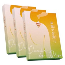 야마쇼 메디컬 집에서 뜸 뜸 산 타입 100 장 ×3상자, 1개