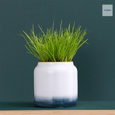 미니 사이즈 도자기 화분(그라데이션) 예쁜도자기화분