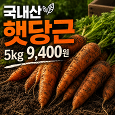[대한민국 최저가] 국내산 제주 햇당근 흙당근, 1박스, 5kg (중)